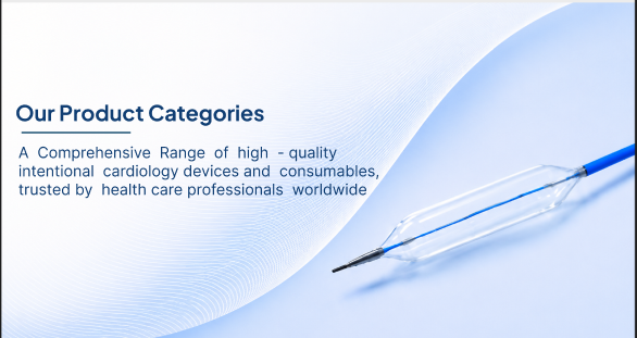 Our Product Categories